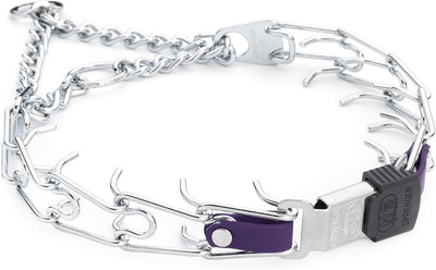 Collar perro acero cromado hebilla cliclock bioano 22"