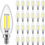 Bombillas LED E12 regulables 5000K 4W pack 24