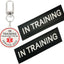 Parche servicio perro entrenamiento removible collar negro