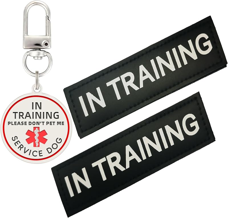 Parche servicio perro entrenamiento removible collar negro
