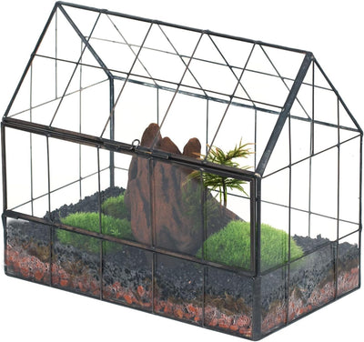 Terrario vidrio geométrico para suculentas