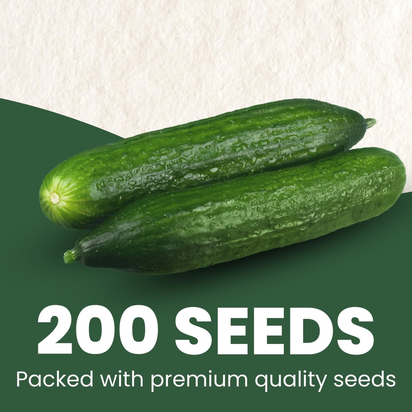 Semillas pepino persa 200uds mini rebanadora 2026