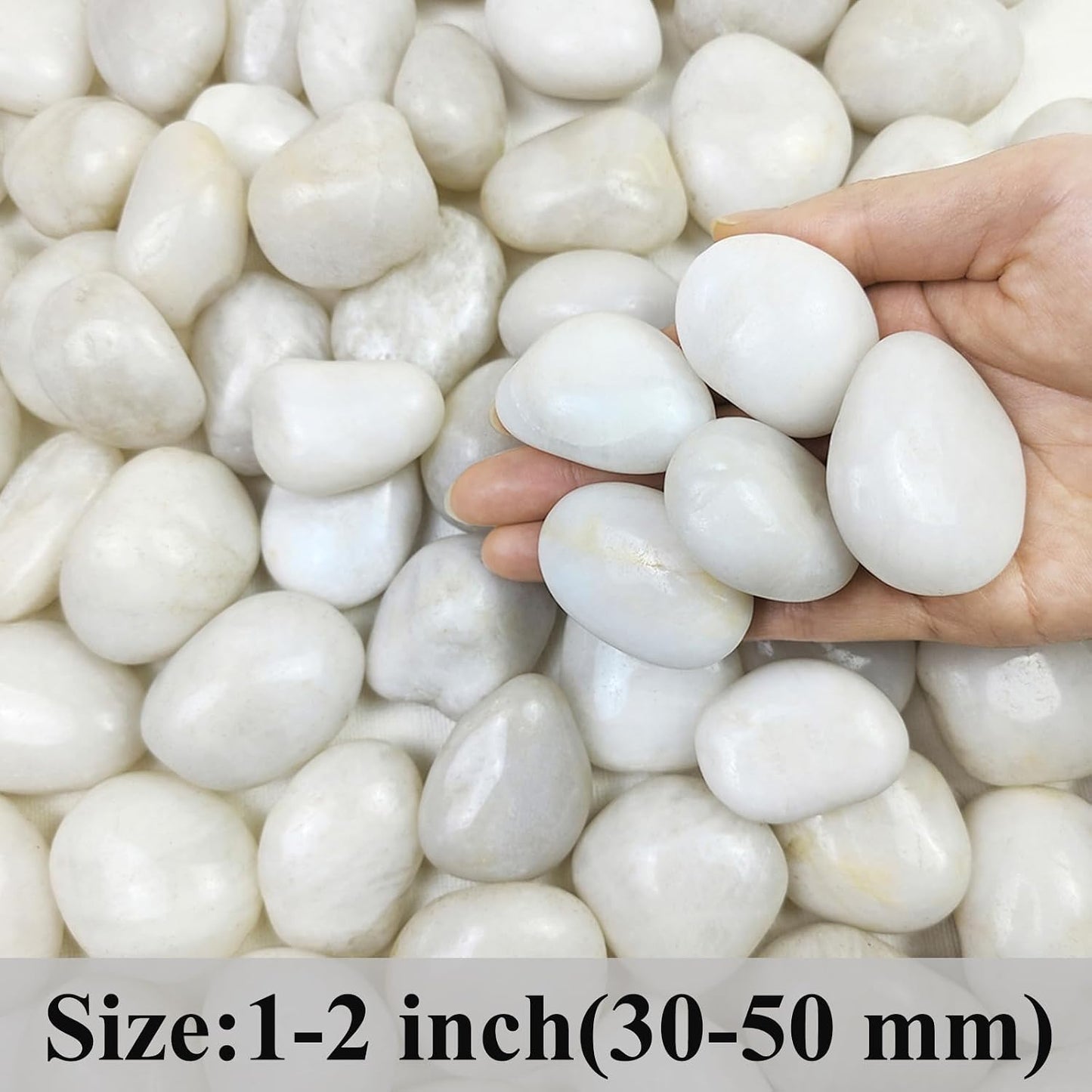 Rocas blancas de río 20lb para plantas y jardín