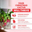 Fertilizante para Cactus Schlumbergera 8oz Líquido