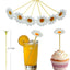 100 Palillos Bambú Brochetas Aperitivo 4.7pulg Bodas