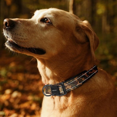 Collar reflectante perro ajustable camuflaje