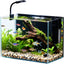 Acuario nano 2.5gal vidrio transparente luz LED filtro tapa