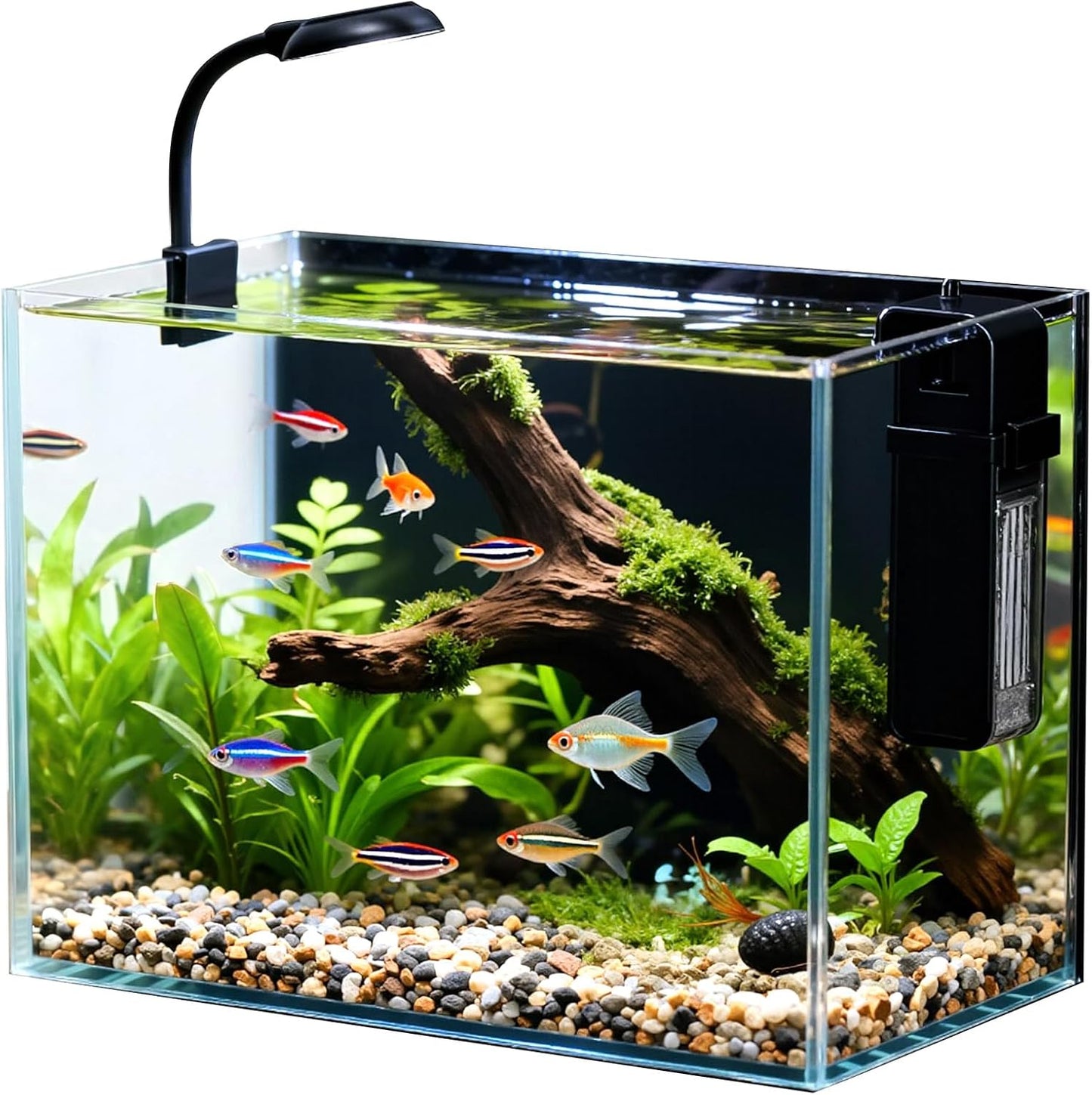 Acuario nano 2.5gal vidrio transparente luz LED filtro tapa