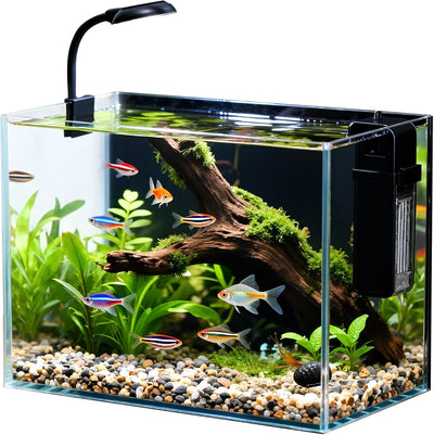 Acuario nano 2.5gal vidrio transparente luz LED filtro tapa