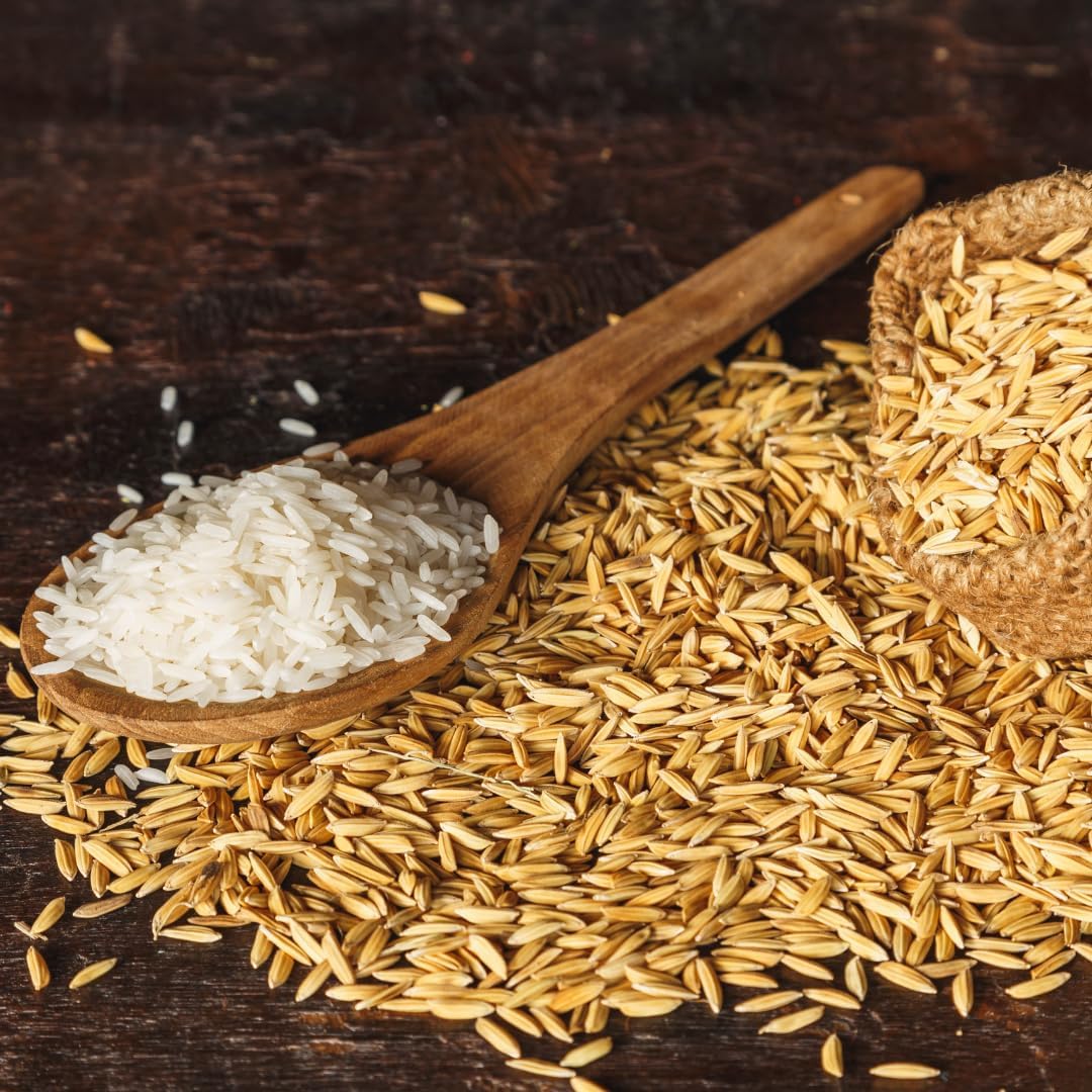 Cascos de arroz 2lb para jardinería macetas