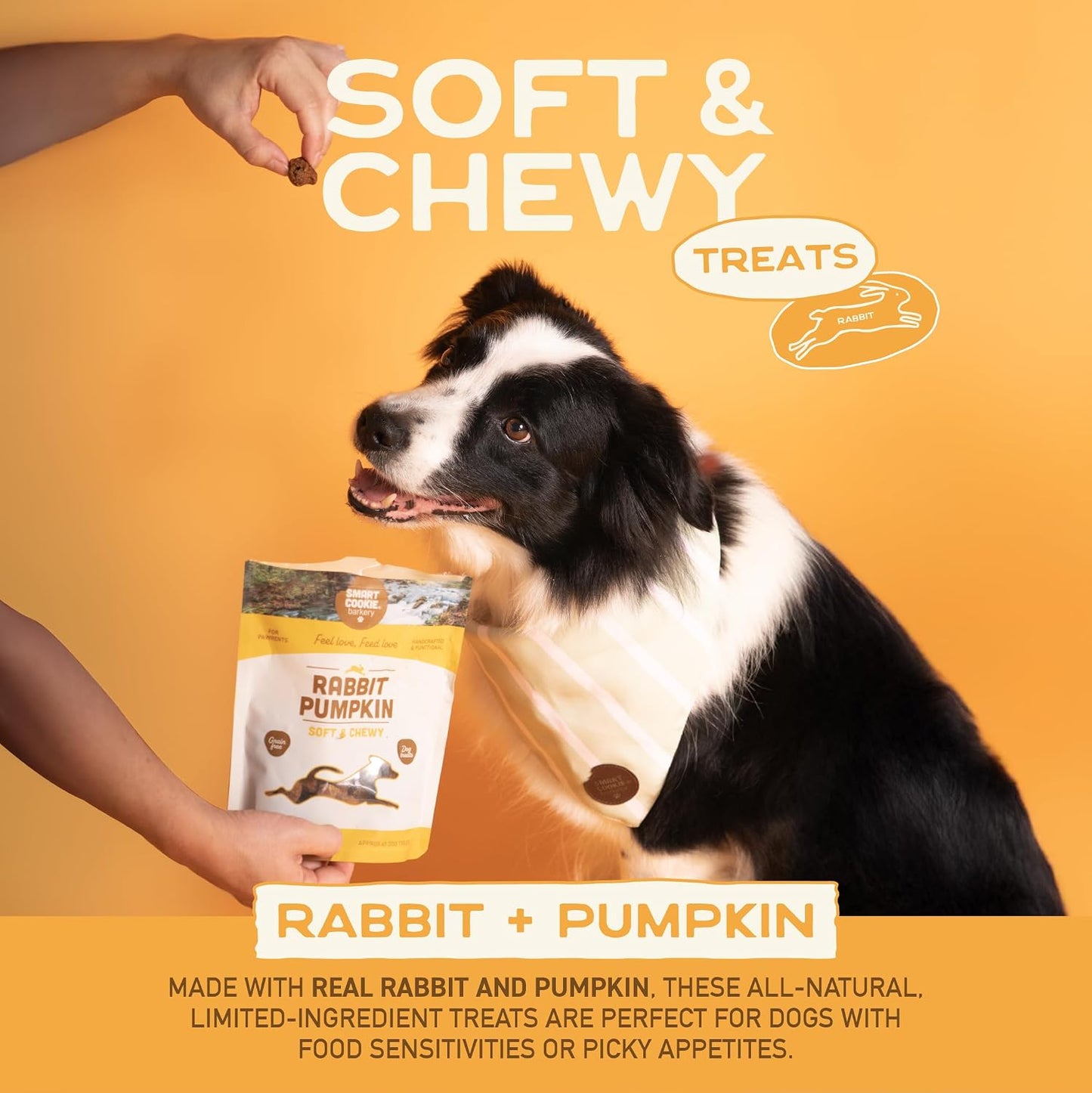 Golosinas naturales para perros 5 sabores 141.4g