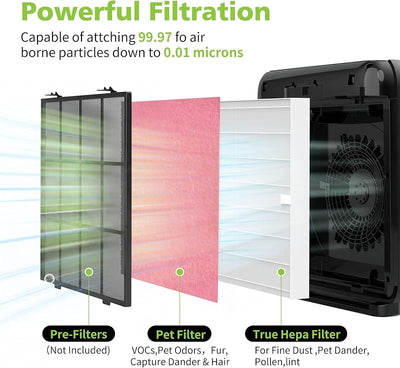 6 Filtros desodorización y 2 HEPA para Coway Airmega