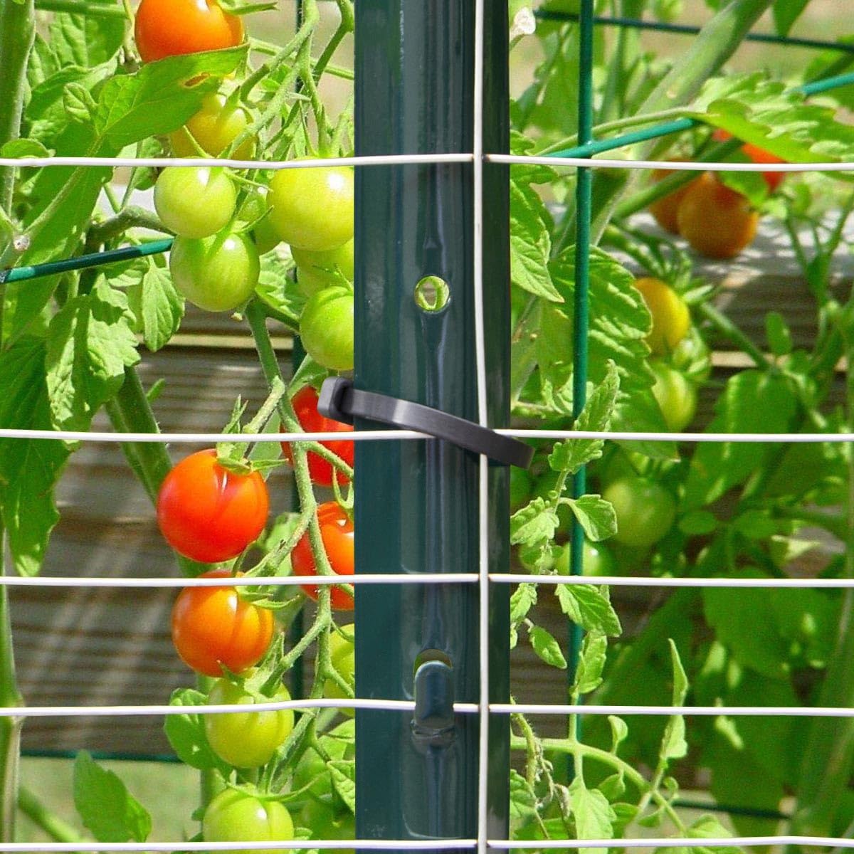 Poste valla metal verde 3ft pack 10 para valla jardín