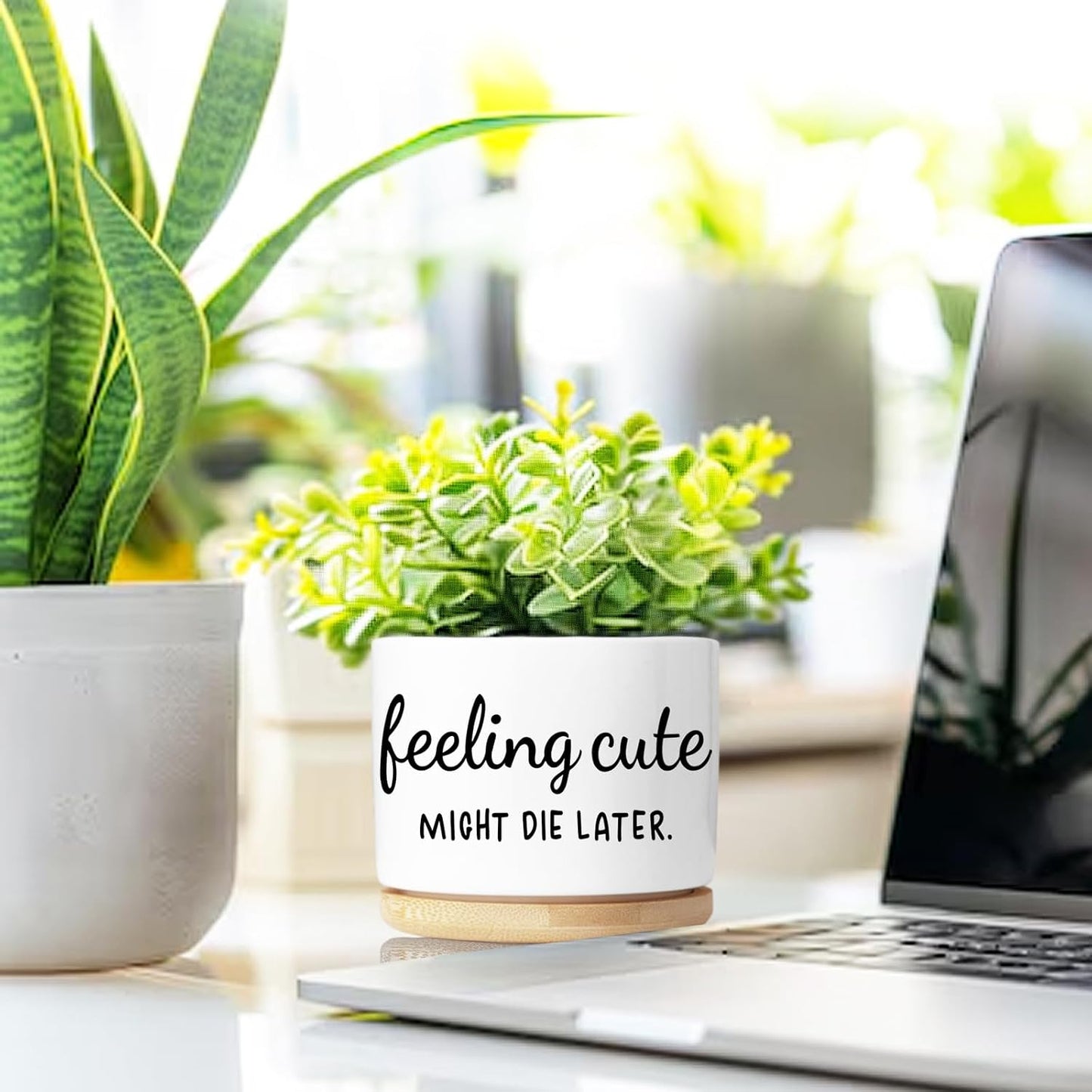 Maceta para suculentas con drenaje decoración oficina hogar