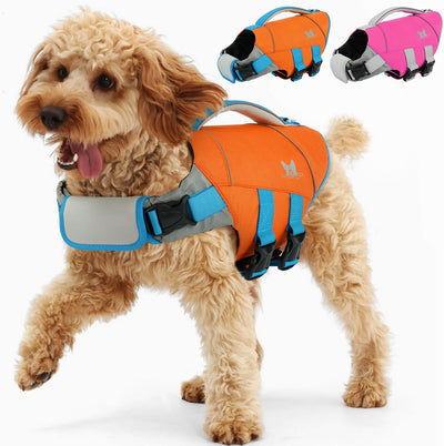 Chaleco salvavidas perros pequeños flotante ajustable