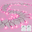 Guirnalda luces rosadas 9.8ft 30 LED impermeables con temporizador