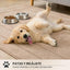 Tapete puerta antiderrap 20x31.5" absorbente para perro