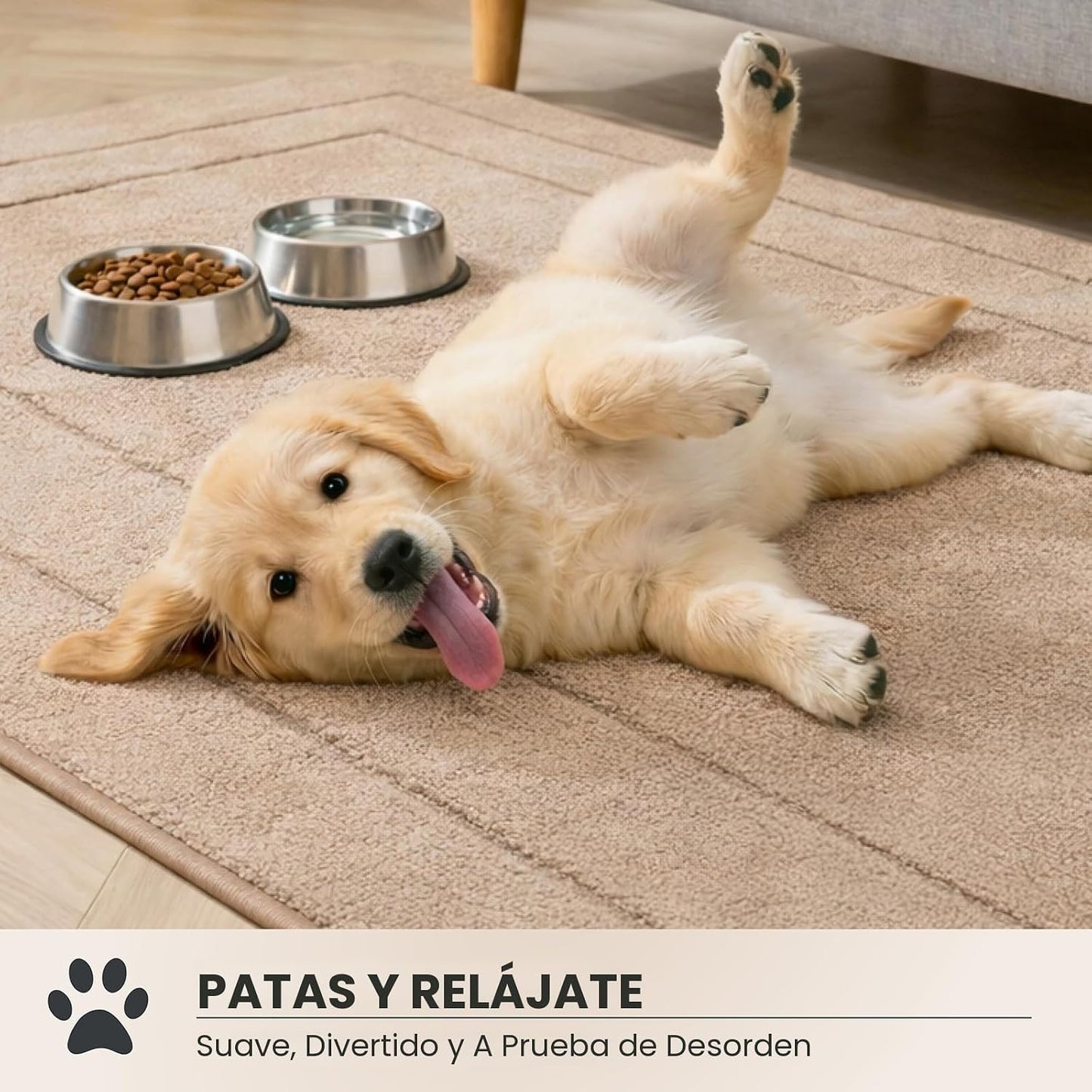 Tapete puerta antiderrap 20x31.5" absorbente para perro
