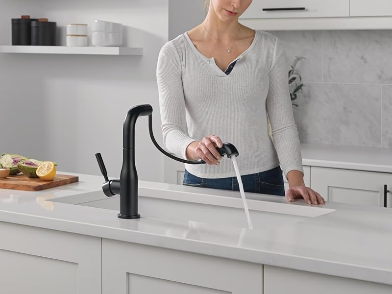 Grifo cocina negro mate rociador extraíble 16943-BL-DST