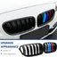 Rejilla F10 BMW 5 Serie M 10-17 2uds