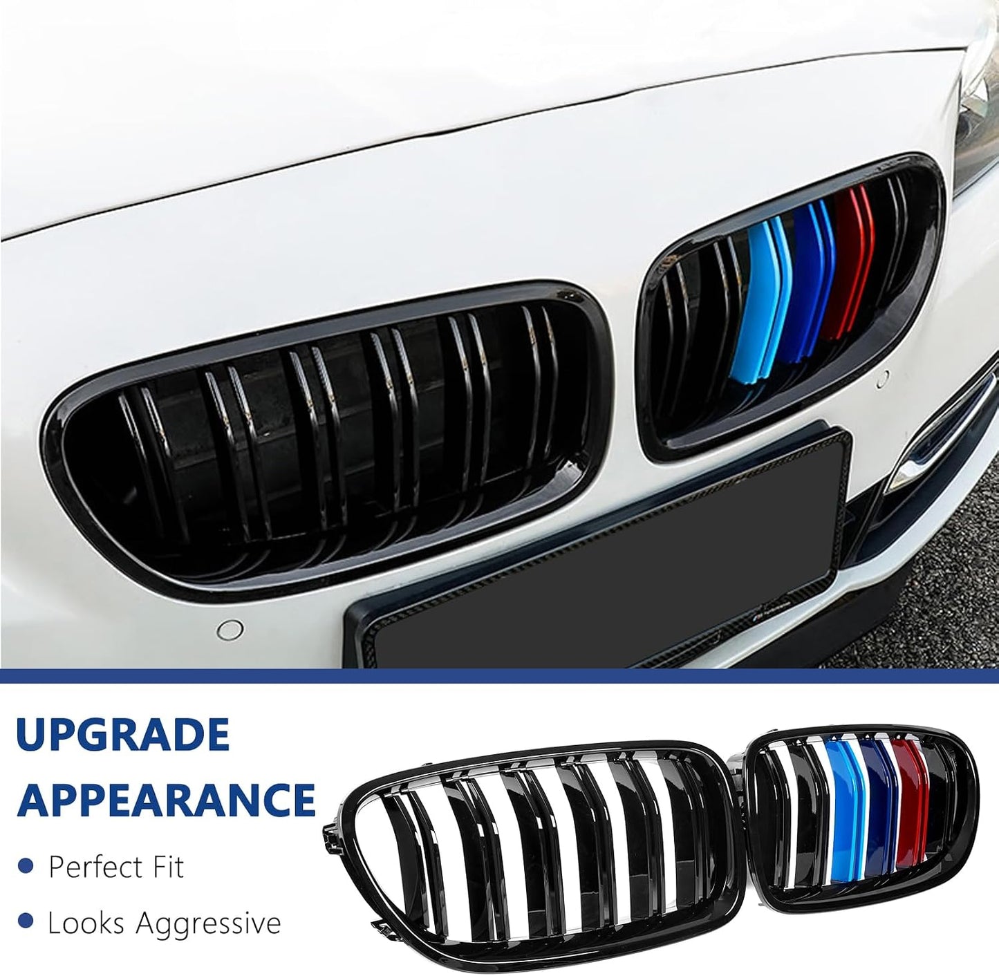 Rejilla F10 BMW 5 Serie M 10-17 2uds