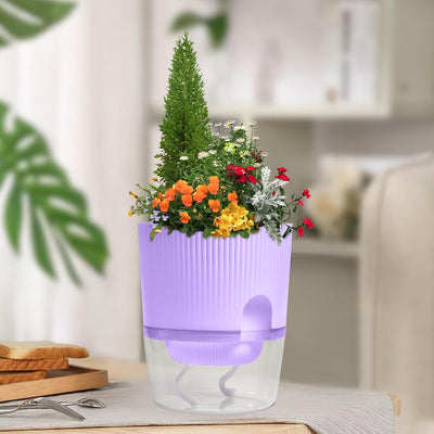 Maceta riego automático 5.5pulg violeta africana cuerda morado