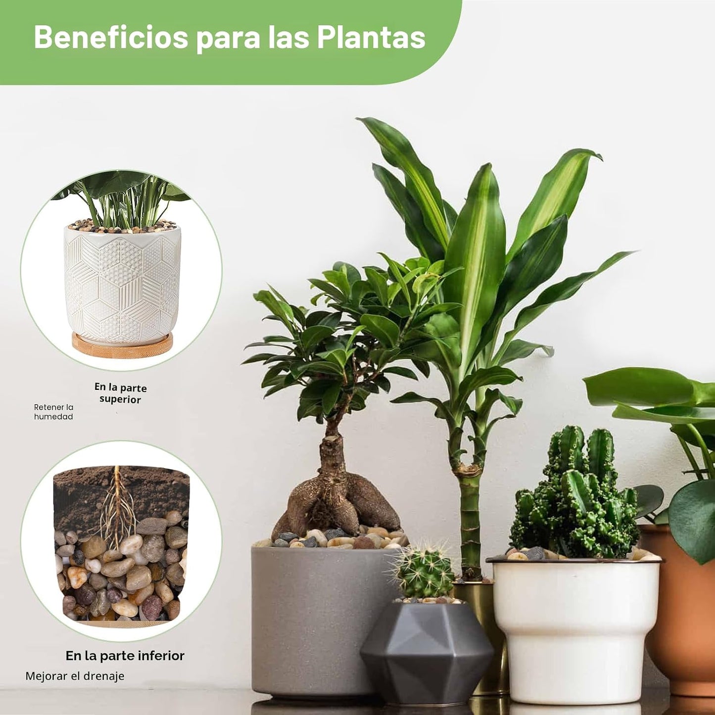 Rocas drenaje 2.5lb para maceta suculentas