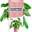 Alimento líquido para philodendron 8oz hojas grandes