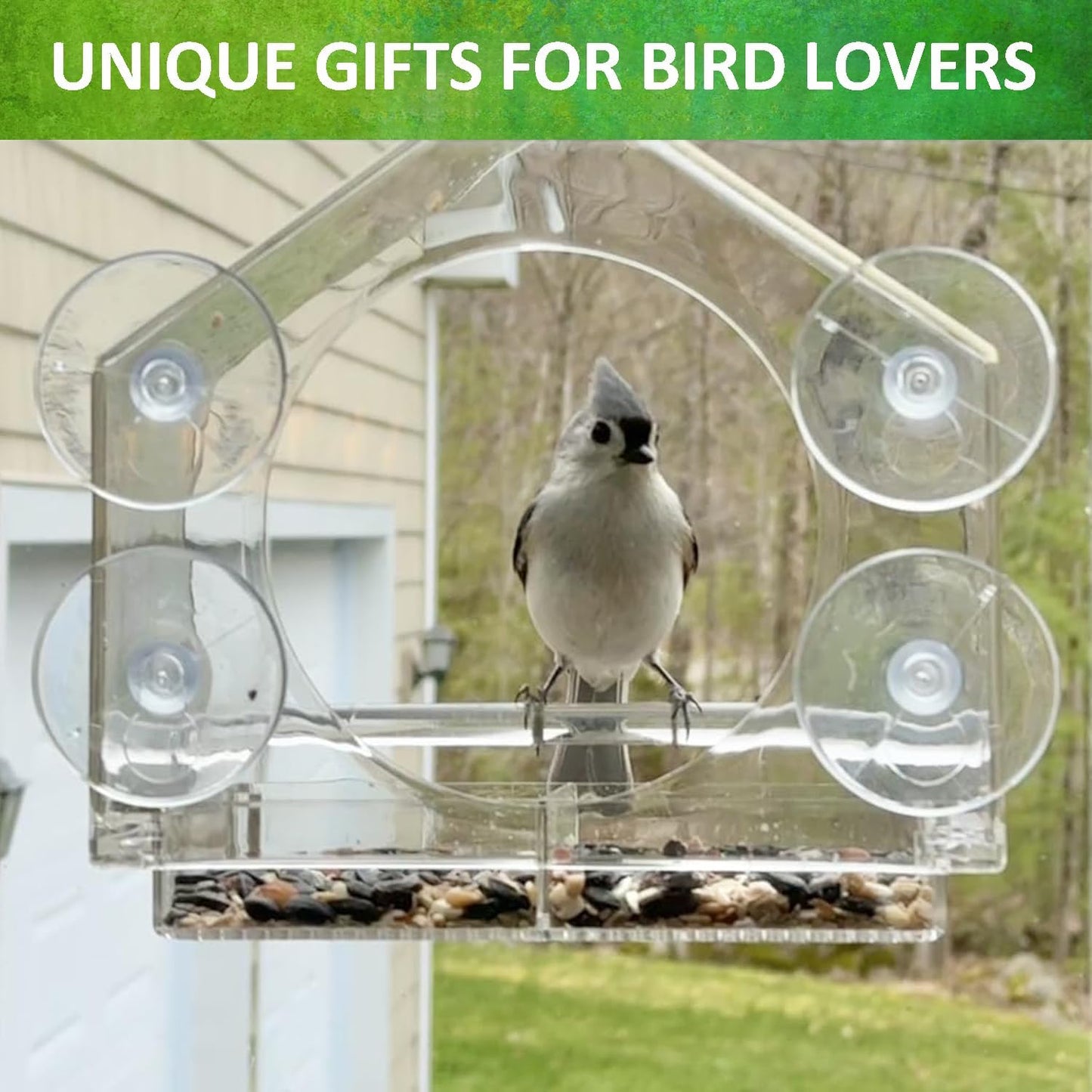 Comederos aves ventanas ventosas fuertes transparentes