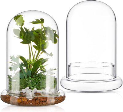 2 Pzas Terrario Vidrio Claro 5.9x7.9pulg Con Cúpula