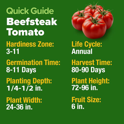 Semillas tomate Beefsteak 300+ sin OMG alta germinación