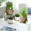 Gnomos de felpa escalonada decoración primavera hogar oficina