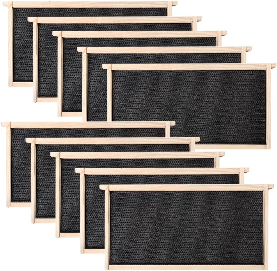Pack 10 Marcos Abeja con Bases de Cera 9-1/8pulg Negro