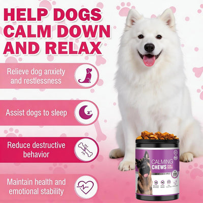 Chicles para calmar perros viaje tormentas cambios rutina