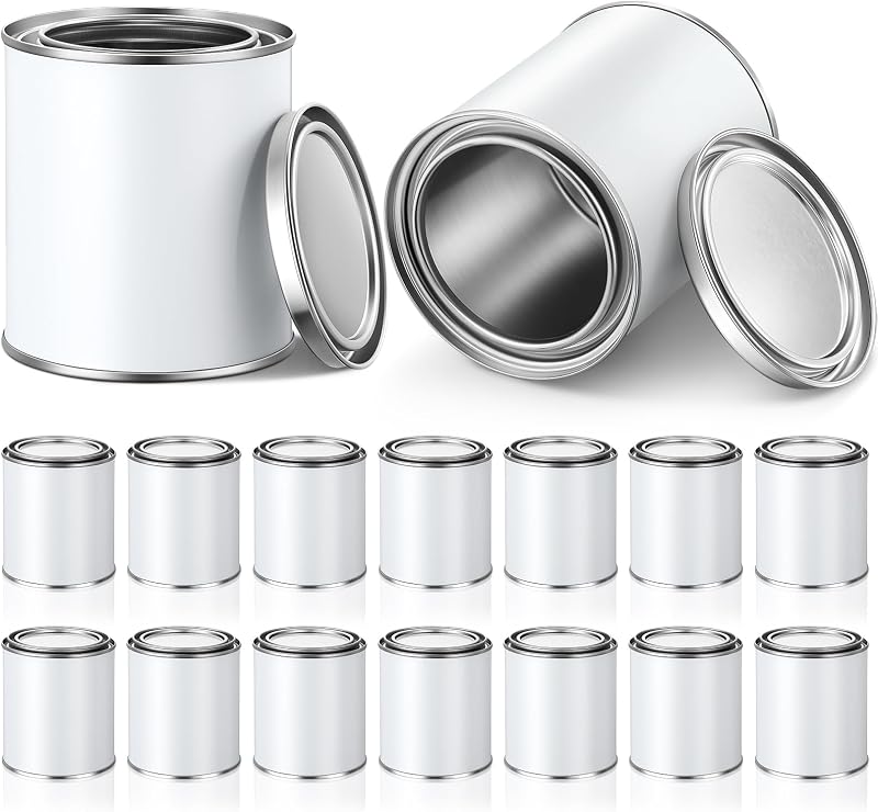 16 Latas Vacías Pintura Metal Tapas Cubos Almacenamiento