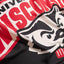 Bandera NCAA Wisconsin Badgers 3x5ft interiores/exteriores
