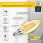 12 Pzas Bombillas LED E12 Regulables 2200K