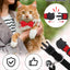 Collar gato con campana y pajarita 8-12pulg set 2 ajustables