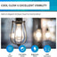 12 Bombillas LED Edison Vintage E26 700lm