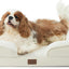 Cama ortopédica para perros y gatos impermeable