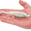 Cebo blando PowerBait CullShad para pesca