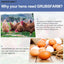 Golosinas de larvas BSF para gallinas patos y aves 10lb sin