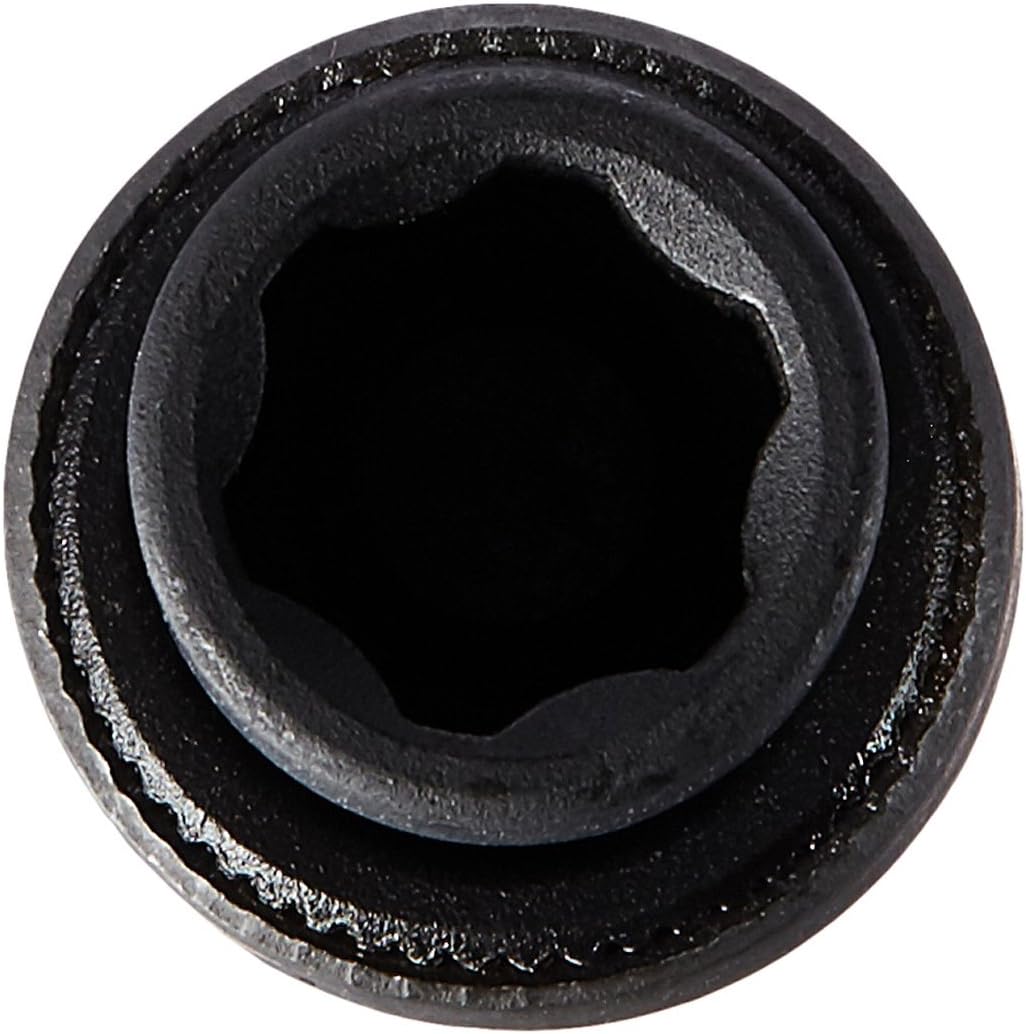 Punta de 1/4" comp 8mm Universal Standard