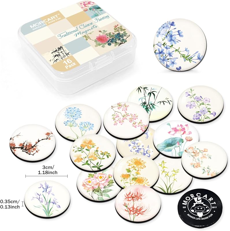 16 Imanes decorativos para nevera y pizarra blanca