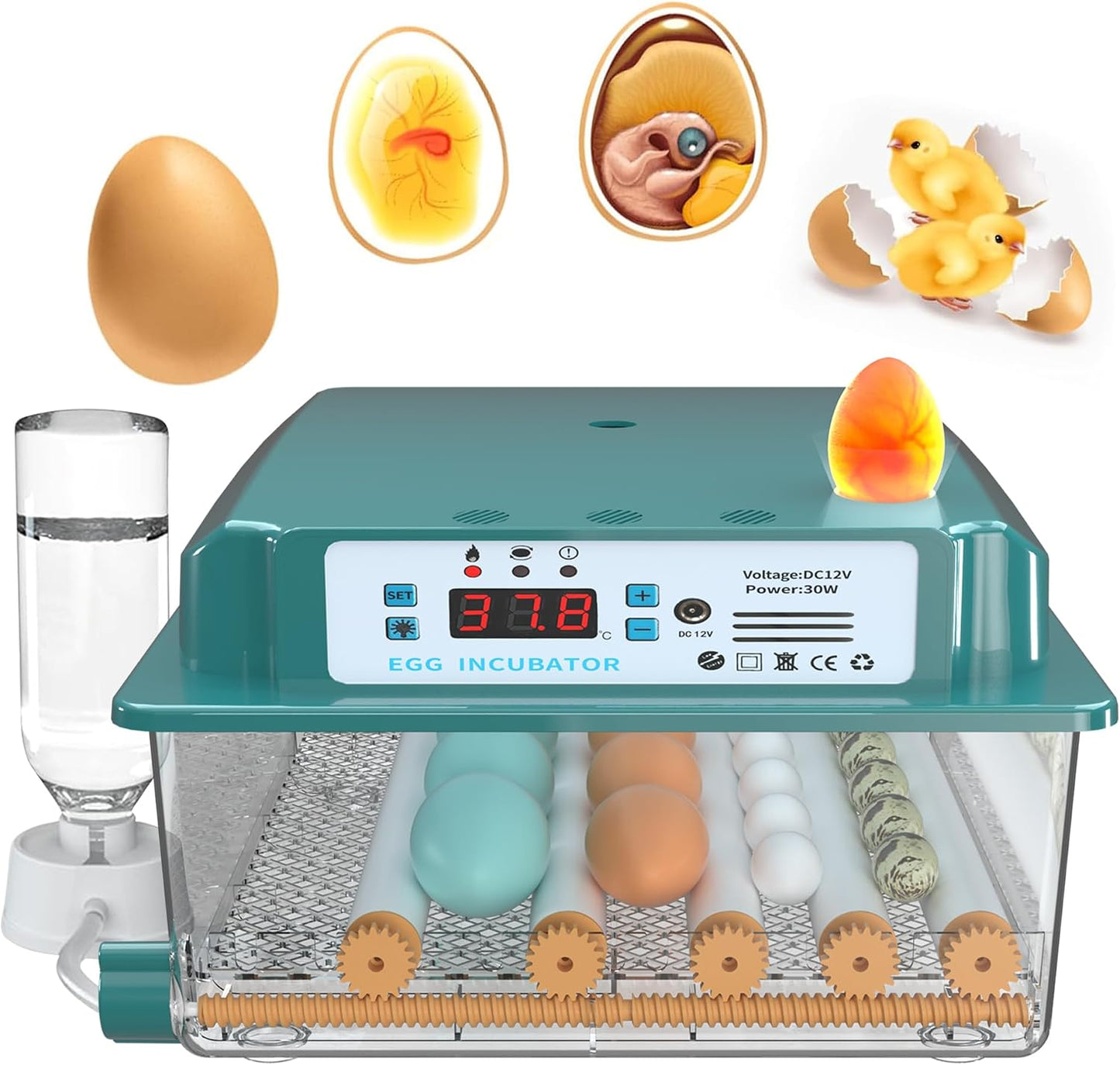 Incubadora 16 huevos automática con control humedad