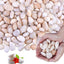 Roca de río blanco crema 10lb para acuario terrario decoración