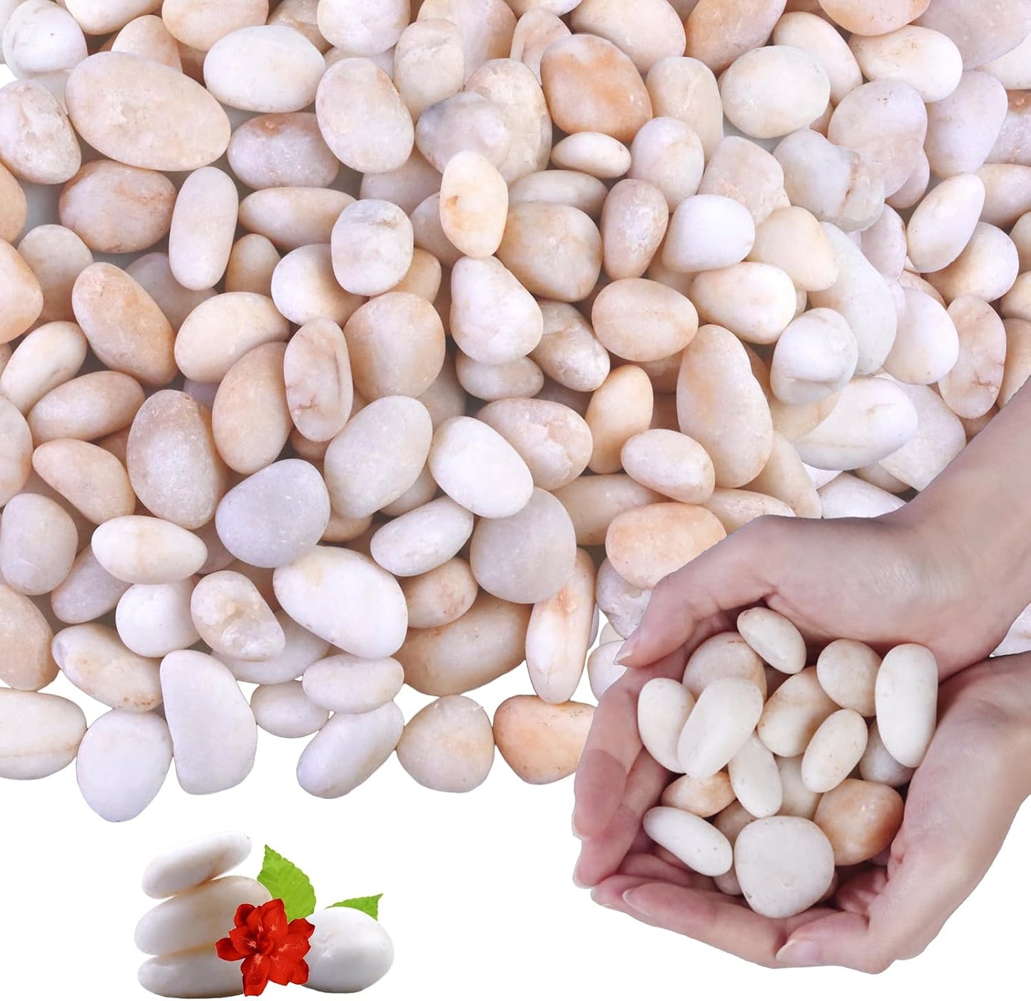 Roca de río blanco crema 10lb para acuario terrario decoración