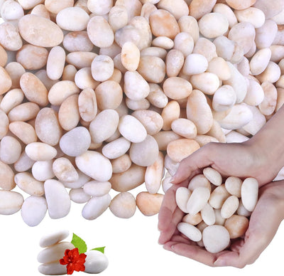 Roca de río blanco crema 10lb para acuario terrario decoración