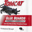 Tablas pegamento eugenol 4 por caja pack 2