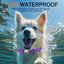 Collar perro con AirTag impermeable IPX8 morado XL
